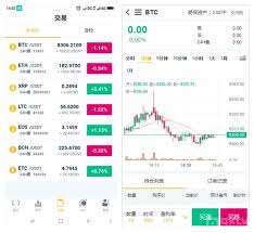 온체인 트레이딩 전략 소프트웨어 개발